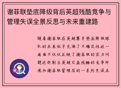 谢菲联垫底降级背后英超残酷竞争与管理失误全景反思与未来重建路